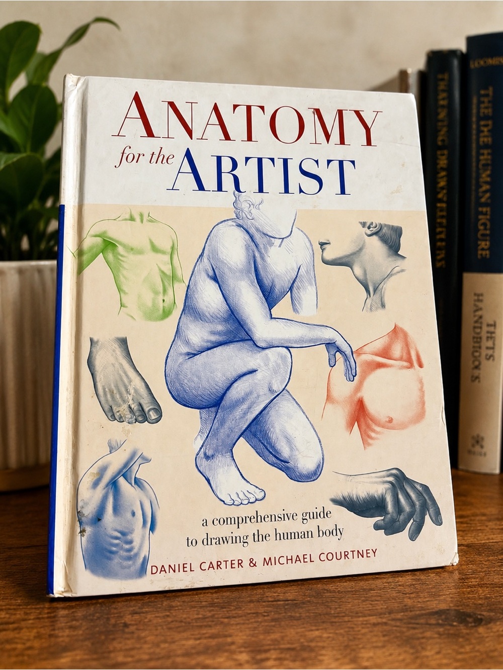 Anatomy for the Artist Hardcover Book - White, Blue, Red Accents